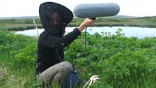 Producer Sarah Blunt trying to record and keep the flies off at Lake Myvatn