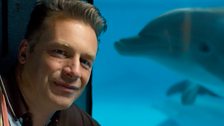 Chris Packham at Baltimore Aquarium with a bottlenose dolphin