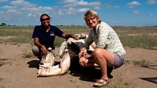 Katito Sayialel of Amboseli Trust for Elephants and Karen McCoomb from the University of Sussex