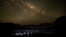 King Penguins underneath the night sky, St Andrews Bay, South Georgia