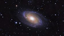Bode's Galaxy (M81)
