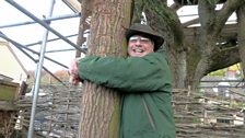 A tree house for a view in Uley