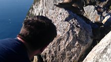 Mark filming Barbary macaques