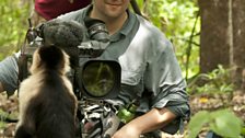 The crew and a white faced capuchin