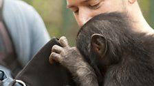 Gav with a bonobo