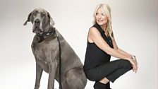 Gaby Roslin presents Sport Relief's Top Dog