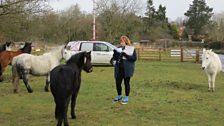 Sophie and friends on the common at Litcham