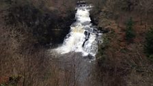 Falls of Clyde Nature Reserve