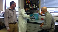 Professor Ian Bancroft and Dr Andrea Harper, testing for genetic markers at the John Innes Centre