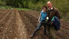 Gareth and Rhian planting up crops