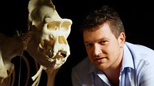 Ben with a gorilla skull