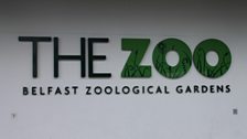 Zoo