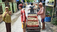 Fishermen push a load of freshly caught trepang or sea cucumber on the island of Barang Lompo.