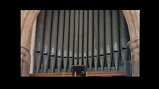 A big organ.