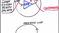 Diagram of Gaia and feedback loop used by James Lovelock during lectures