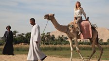 Camel rides