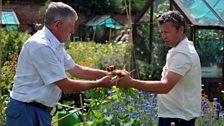 Alex and Ed pass the produce