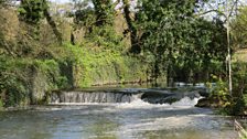 A Norfolk waterfall in Swanton Morley