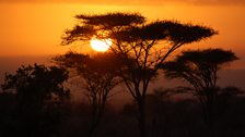 Sunset in Africa