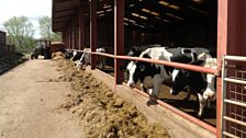 Andrew Bebb's organic farm in Hanwood near Shrewsbury