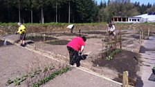 RHS Rosemoor gardening