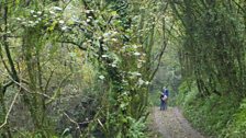 Walking a loop back into Laugharne.