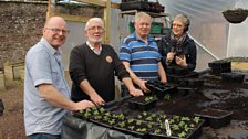 Castlecaulfield Horticultural Society