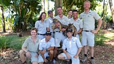 The tiger team with the cubs