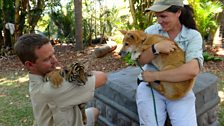 Spot meets a dingo