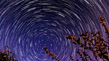 Star Trail