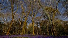 Star Trail in the Spring, Chichester