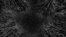 Star Field in Black and White