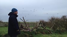 Wesley Davies looks out across the south end of the island