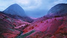 Richard Mosse - Poison Glen