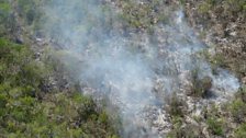 Illegal charcoal production in Turks and Caicos