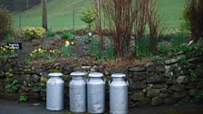 Milk Churns