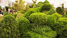 Topiary in the Grand Pavilion