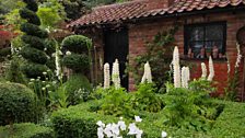 The Topiarist’s Garden