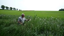 Chris in one of the wildflower borders he has at the edge of some of his fields