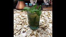 Mint Julep