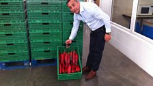 Vince Russo showing the Italian style peppers