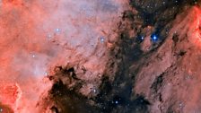 Pelican Nebula