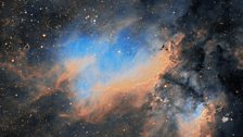 Prawn Nebula