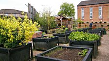 The Concrete Garden