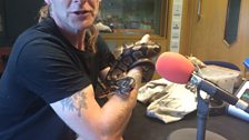 Brian and his Royal Python 'Princess'