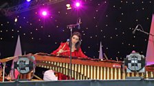 Evelyn Glennie at Proms in the Park