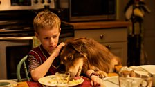 The Young and Prodigious T.S. Spivet