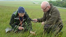 Part 3 - Salisbury Plain