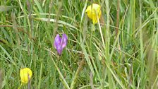 Part 3 - Salisbury Plain