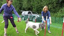 Julie had to take Louis around the course